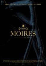 Poster for Moires
