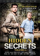 Poster for Hidden Secrets 2