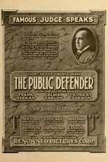 Poster for The Public Defender