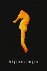 Poster for Hippocampus