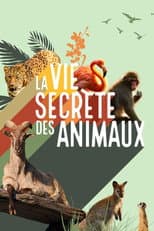Poster for La vie secrète des animaux