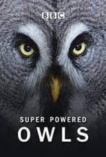 Poster for Super Powered Owls