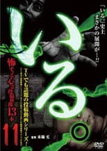 Poster for 「Iru.」~ Kowasugiru Tōkō Eizō 13-hon ~ Vol.11