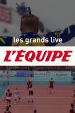 Poster for Les Grands Lives