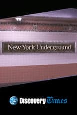 Poster for New York Underground