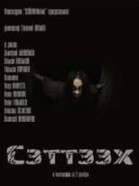 Poster for Setteekh