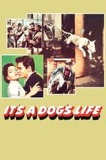 Poster for It's a Dog's Life