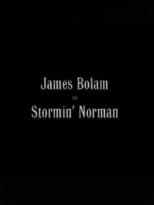 Poster for Stormin' Norman