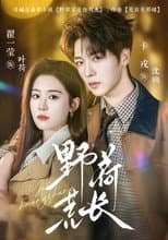 Poster for 野荷荒长