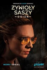 Poster for The Elements of Sasza