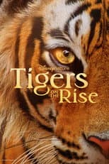 Poster for Tigers on the Rise
