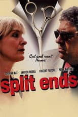 Poster for Split Ends