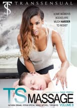 Poster for TS Massage 3
