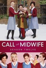 Poster for Series 12