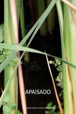 Poster for Apaisado