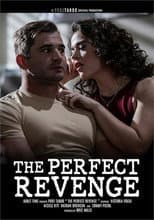 Poster for The Perfect Revenge