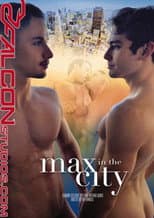Poster for Max in the City