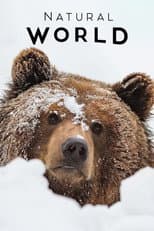 Poster for France: The Wild Side