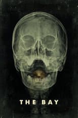 Poster for The Bay