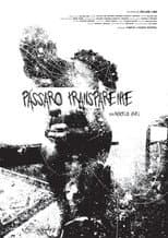 Poster for Pássaro Transparente