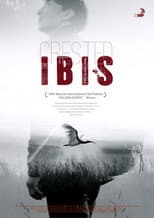 Poster for Crested Ibis