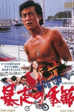 Poster for The Runaway Season