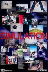 Poster for Simulation