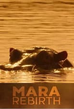 Poster for Mara: Rebirth