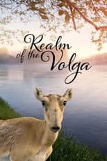 Poster for Realm of the Volga