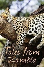 Poster for Tales from Zambia