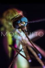 Poster for Mosquito