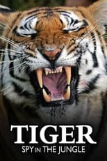 Poster for Tiger: Spy In The Jungle