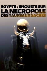 Poster for Égypte - Enquête sur la nécropole des taureaux sacrés