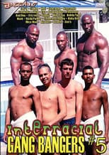 Poster for Interracial Gang Bangers 5