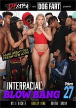 Poster for Interracial Blow Bang 27