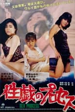 Poster for The Process of Sexual Play
