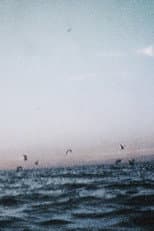 Poster for Ocean III