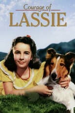 Poster for Courage of Lassie