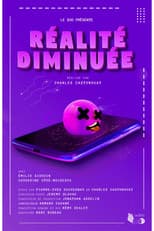 Poster for Diminished Reality