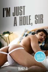 Poster for I'm Just A Hole, Sir