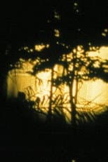 Poster for Hôtel Turkoman