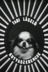 Poster for Kutyaszerencse