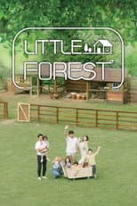 Poster for Little Forest