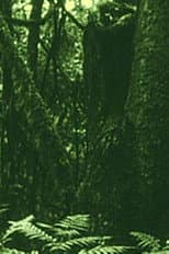 Poster for The Eyes in the Woods and the Taste in the Water