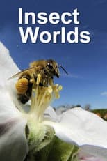 Poster for Insect Worlds