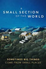 Poster for A Small Section of the World