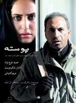 Poster for Poosteh