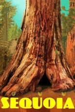 Poster for Sequoia
