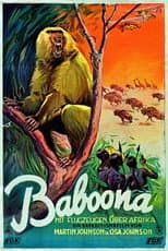 Poster for Baboona