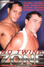 Poster for No Twink Zone 2